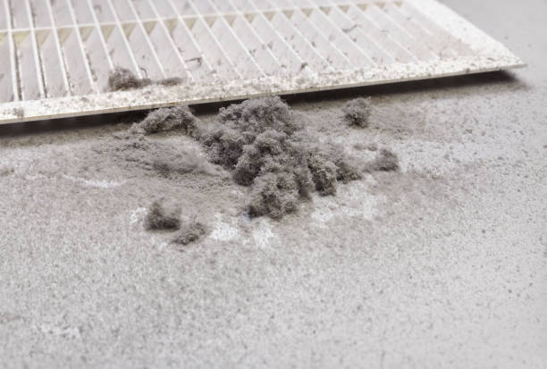 Best HVAC Duct Inspection Services  in Plainview, TX